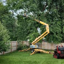 Best Lawn Watering Services  in Rialto, CA