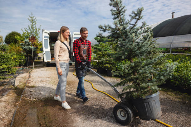 Best Hazardous Tree Removal  in Rialto, CA