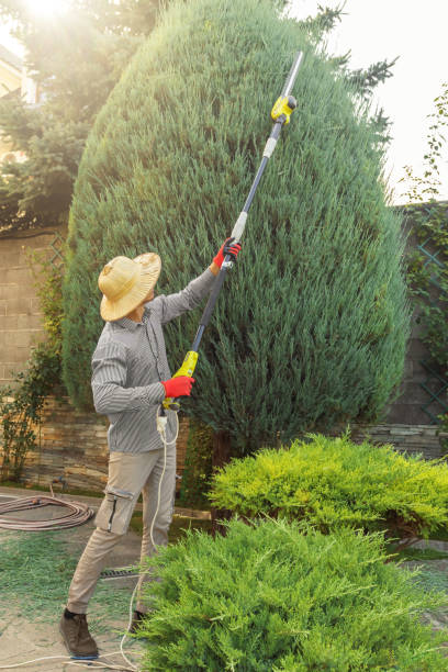 Best Landscape Design and Installation  in Rialto, CA